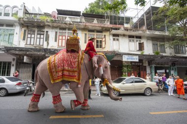 Tayland, Bangkok - 8 Kasım 2024: Tayland Filleri Tayland 'da Wat Saket Festivali Fuarının açılış töreninde.