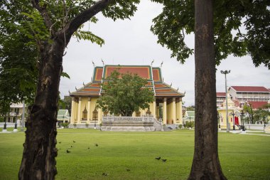 Tayland, Bangkok - 6 Kasım 2024: Wat Thepsirintrawat Ratchaworawihan Tayland 'da.