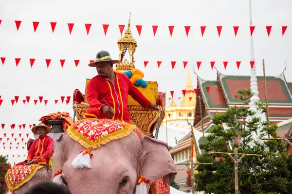 Tayland, Bangkok - 8 Kasım 2024: Tayland Filleri Tayland 'da Wat Saket Festivali Fuarının açılış töreninde.