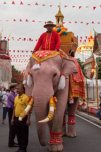 Tayland, Bangkok - 8 Kasım 2024: Tayland Filleri Tayland 'da Wat Saket Festivali Fuarının açılış töreninde.