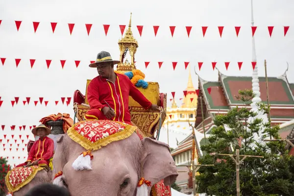 Tayland, Bangkok - 8 Kasım 2024: Tayland Filleri Tayland 'da Wat Saket Festivali Fuarının açılış töreninde.