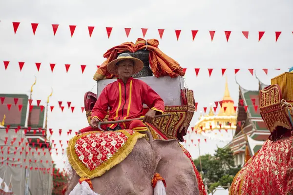 Tayland, Bangkok - 8 Kasım 2024: Tayland Filleri Tayland 'da Wat Saket Festivali Fuarının açılış töreninde.