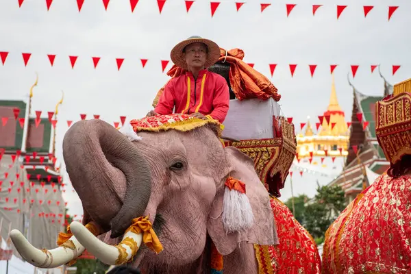 Tayland, Bangkok - 8 Kasım 2024: Tayland Filleri Tayland 'da Wat Saket Festivali Fuarının açılış töreninde.