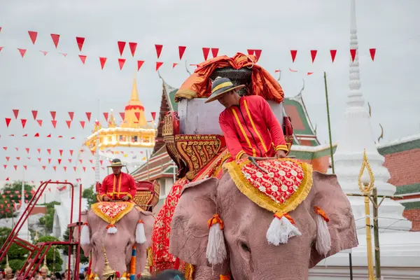 Tayland, Bangkok - 8 Kasım 2024: Tayland Filleri Tayland 'da Wat Saket Festivali Fuarının açılış töreninde.