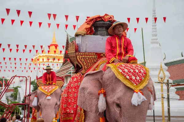 Tayland, Bangkok - 8 Kasım 2024: Tayland Filleri Tayland 'da Wat Saket Festivali Fuarının açılış töreninde.