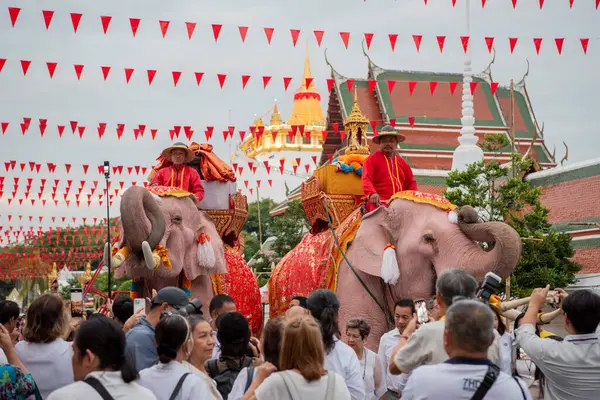 Tayland, Bangkok - 8 Kasım 2024: Tayland Filleri Tayland 'da Wat Saket Festivali Fuarının açılış töreninde.
