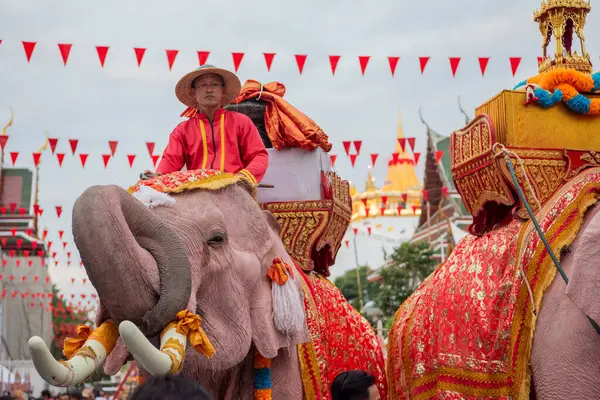 Tayland, Bangkok - 8 Kasım 2024: Tayland Filleri Tayland 'da Wat Saket Festivali Fuarının açılış töreninde.