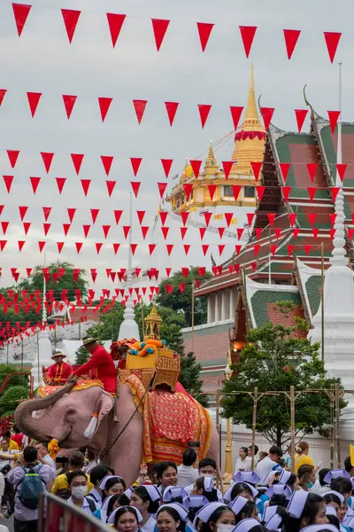 Tayland, Bangkok - 8 Kasım 2024: Tayland Filleri Tayland 'da Wat Saket Festivali Fuarının açılış töreninde.