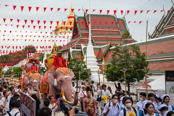 Tayland, Bangkok - 8 Kasım 2024: Tayland Filleri Tayland 'da Wat Saket Festivali Fuarının açılış töreninde.