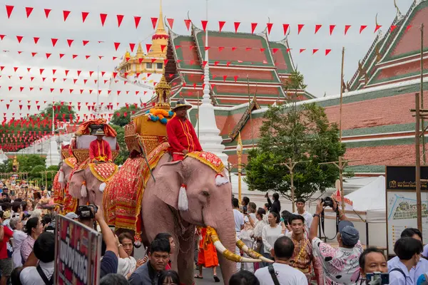 Tayland, Bangkok - 8 Kasım 2024: Tayland Filleri Tayland 'da Wat Saket Festivali Fuarının açılış töreninde.