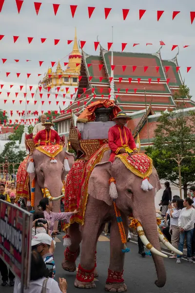 Tayland, Bangkok - 8 Kasım 2024: Tayland Filleri Tayland 'da Wat Saket Festivali Fuarının açılış töreninde.