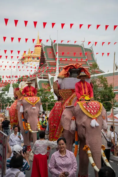 Tayland, Bangkok - 8 Kasım 2024: Tayland Filleri Tayland 'da Wat Saket Festivali Fuarının açılış töreninde.