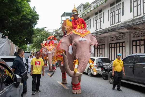 Tayland, Bangkok - 8 Kasım 2024: Tayland Filleri Tayland 'da Wat Saket Festivali Fuarının açılış töreninde.