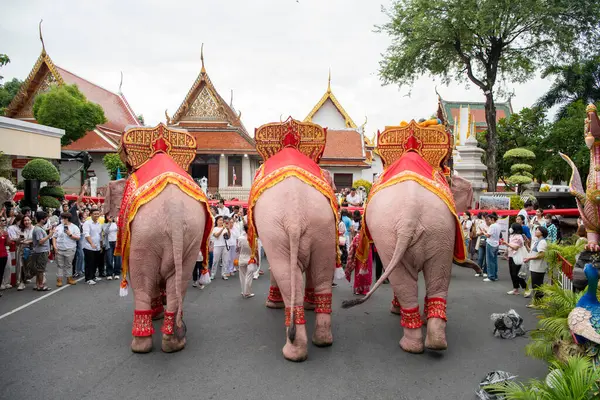 Tayland, Bangkok - 8 Kasım 2024: Tayland Filleri Tayland 'da Wat Saket Festivali Fuarının açılış töreninde.