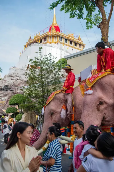 Tayland, Bangkok - 8 Kasım 2024: Tayland Filleri Tayland 'da Wat Saket Festivali Fuarının açılış töreninde.