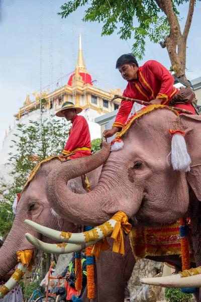 Tayland, Bangkok - 8 Kasım 2024: Tayland Filleri Tayland 'da Wat Saket Festivali Fuarının açılış töreninde.