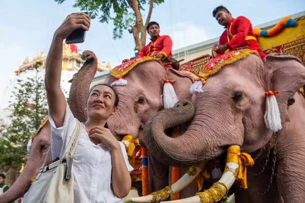 Tayland, Bangkok - 8 Kasım 2024: Tayland Filleri Tayland 'da Wat Saket Festivali Fuarının açılış töreninde.