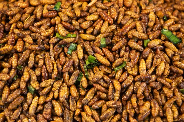 Bangkok, Tayland 'daki Wat Saket Festivali Fuarı' nda 8 Kasım 2024 'te gevrek böcek ve kurtçuklar..