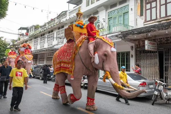 Tayland, Bangkok - 8 Kasım 2024: Tayland Filleri Tayland 'da Wat Saket Festivali Fuarının açılış töreninde.