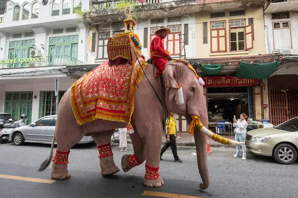 Tayland, Bangkok - 8 Kasım 2024: Tayland Filleri Tayland 'da Wat Saket Festivali Fuarının açılış töreninde.