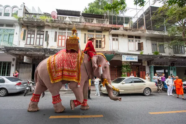 Tayland, Bangkok - 8 Kasım 2024: Tayland Filleri Tayland 'da Wat Saket Festivali Fuarının açılış töreninde.