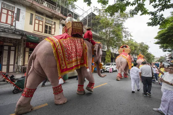 Tayland, Bangkok - 8 Kasım 2024: Tayland Filleri Tayland 'da Wat Saket Festivali Fuarının açılış töreninde.