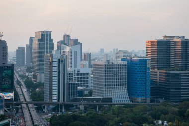 Tayland, Bangkok - 10 Aralık 2024: Tayland 'ın Bangkok şehrindeki Lumphini Park' taki SO Bangkok Oteli 'nden görüntü.