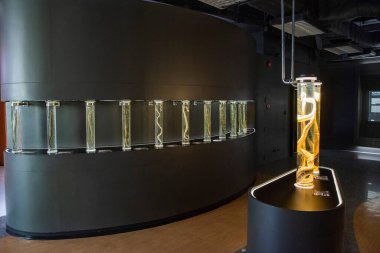 Tayland, Bangkok - 11 Aralık 2024: Tayland 'ın Bangkok kentindeki Silom' daki Yılan Çiftliği.