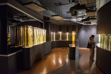 Tayland, Bangkok - 11 Aralık 2024: Tayland 'ın Bangkok kentindeki Silom' daki Yılan Çiftliği.