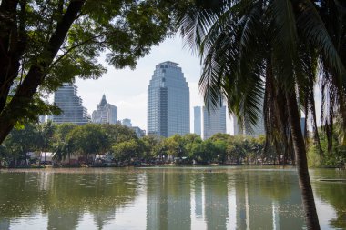 Tayland, Bangkok 'taki Lumphini Park' ın binaları ve peyzajı. Tayland, Bangkok, 11 Aralık 2024.
