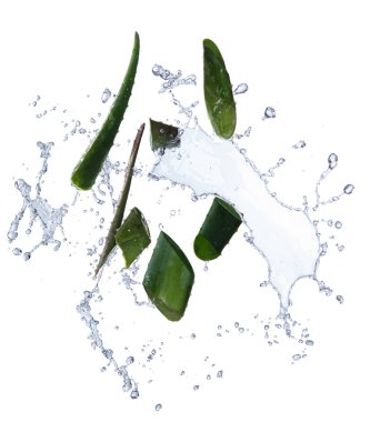 Aloe vera slices with water splash on white background