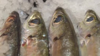 Freshly caught fish lies on a shelf sprinkled with ice to preserve freshness. Close-up of a fish head with big eyes on ice. Sea fish for preparing a delicious and hearty dinner for the whole family.