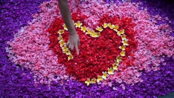 为了迎接新婚夫妇在温泉旅馆的聚会 他们准备了一间浴室 在里面塞满了五颜六色的花瓣 把花瓣以心形放在水面上 — 图库视频影像