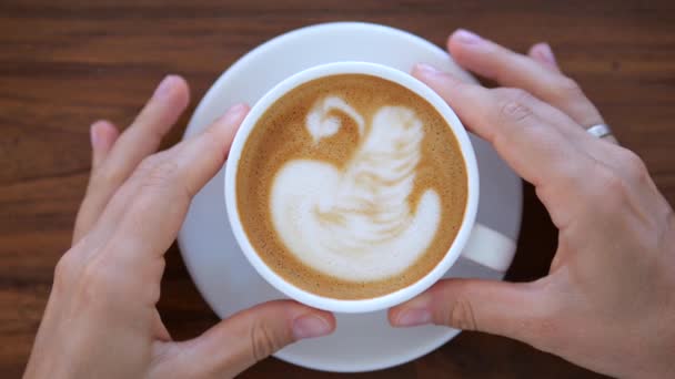 Mug Fragrant Coffee Held Female Hands Woman Drinking Morning Sappuccino — ストック動画