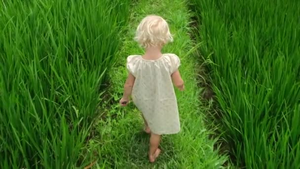 Een Blote Voeten Baby Met Blond Haar Loopt Het Gras — Stockvideo