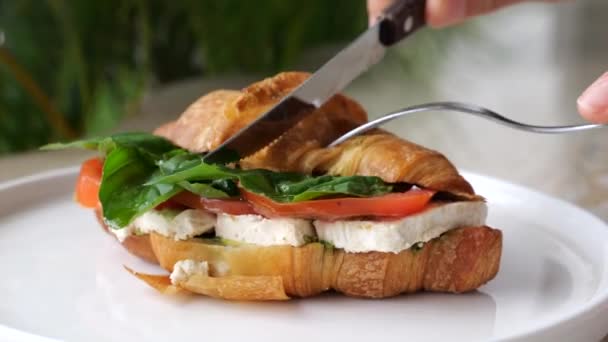 Human Hands Using Knife Fork Cut Croissant Mozzarella Tomatoes Basil — Stock Video