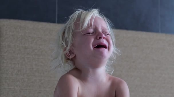 Piccolo Triste Indifeso Bambino Singhiozza Piangendo Amaramente Dal Dolore Dalla — Video Stock