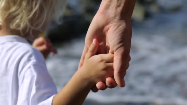Närbild Barn Och Vuxna Händer Förälder Håller Barnhand Vid Solnedgången — Stockvideo