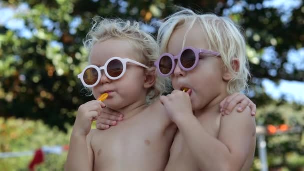 2人の白人の裸の双子の姉妹の低角度映画撮影抱擁 キャンディロリポップをなめる 公園の自然界の涼しいガラスの女の子は 週末に天気の良い日にロリポップを食べる 晴れた公園での休日 — ストック動画