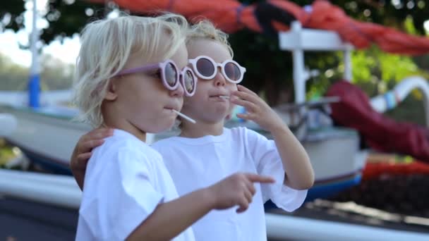 Twee Kleine Meisjes Het Park Wijzen Met Hun Vinger Naar — Stockvideo