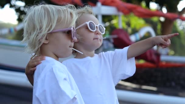 在游乐园里 两个戴着凉爽圆形眼镜的孪生姐妹慢动作 女孩把手指指向天空 使她的姐妹们注意到一些有趣的事情 游乐园里的两个高加索孪生姐妹 — 图库视频影像