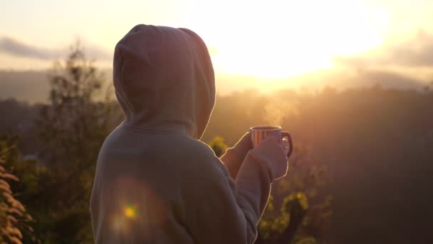 Wanderin Die Auf Einer Klippe Vor Dem Hintergrund Des Sonnenaufgangs — Stockvideo