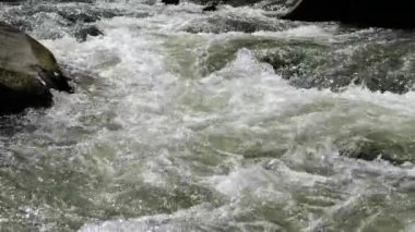 Dağ nehrinin öfkeli gücü kayalara çarpıyor, yakın plan. Köpüklü dağ nehrinin dinamik videosu kendi etrafında kaos yaratır ve akışıyla devrilir. Dağ nehrinin gücünü hisset.