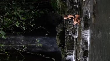 Şelalenin yanındaki taşların üzerinde meditasyon yapan genç bir kızın dikey videosu. Meditasyon ve suyun sesi doğayla bütünleşmeyi hissettirir. Suda meditasyon kavramı doğayla bütünleşir.