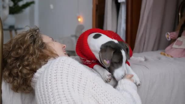 卷曲的女士穿着红色圣诞毛衣和可爱的狗在卧室玩耍 中等镜头的快乐狗和它的主人穿着裁剪的毛衣在玩耍 等待圣诞节的到来 穿舒适的圣诞毛衣 — 图库视频影像