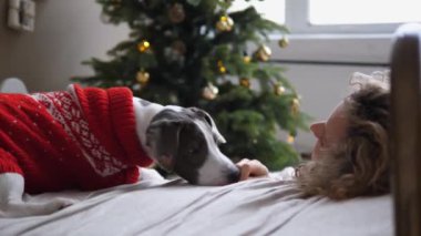 Arka planda genç ev sahibiyle köpek ve yılbaşı ağacının yanında mutlu sarışın kadın ve şirin köpeğin Noel süveteriyle birlikte Noel 'de birlikte vakit geçirdikleri bir video var.