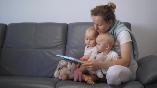 母と子供はソファーに座っている 子供のための母親の読書本の広いショット 子供は指で絵に触れます 子供の想像力を育成し 家族をより近づけるための本を読むコンセプト — ストック動画
