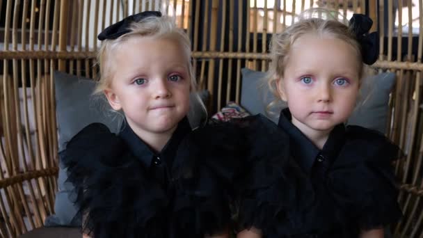 Две Милые Девочки Близнецы Сидят Кафе Костюме Среды Черными Бантиками — стоковое видео