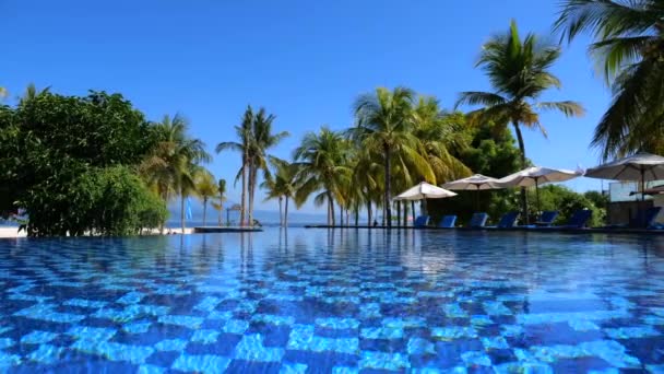 Yüzme Havuzu Güneşlenme Yerleri Palmiye Ağaçları Panoramik Manzara Yüzme Havuzu — Stok video