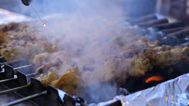 Cocinar Shashlik Fuego Abierto Primer Plano Los Trozos Carne Marinados — Vídeos de Stock